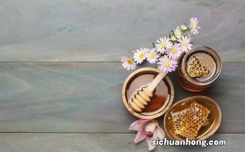 胃肠炎的吃什么食疗好