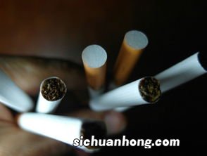 芙蓉王细支爆珠什么味