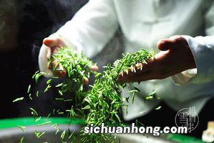 峨眉雪芽茶用茶具怎么泡