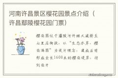 许昌鄢陵樱花园门票 河南许昌景区樱花园景点介绍