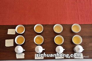 刚做好的生普怎么品