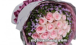 粉佳人的花语是什么 粉佳人的简述