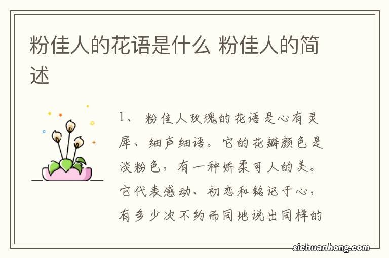 粉佳人的花语是什么 粉佳人的简述