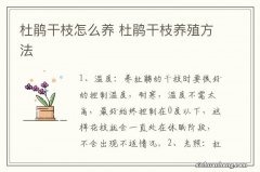 杜鹃干枝怎么养 杜鹃干枝养殖方法