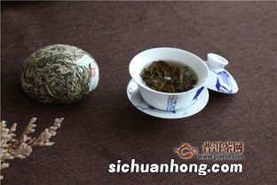 普洱新茶怎么品