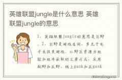 英雄联盟jungle是什么意思 英雄联盟jungle的意思