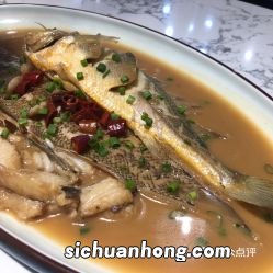 海餐鱼怎么烧
