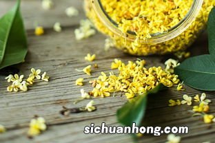 桂花蜂蜜茶怎么做的