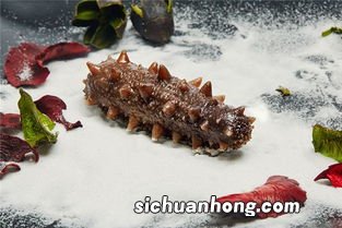 泡海参要多久可以吃