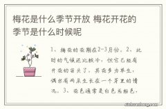 梅花是什么季节开放 梅花开花的季节是什么时候呢