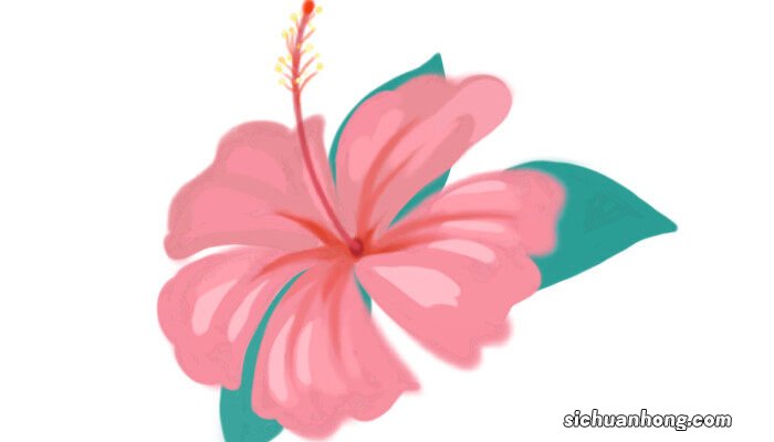 凤仙花怎么传播种子的方法 凤仙花传播种子的方法