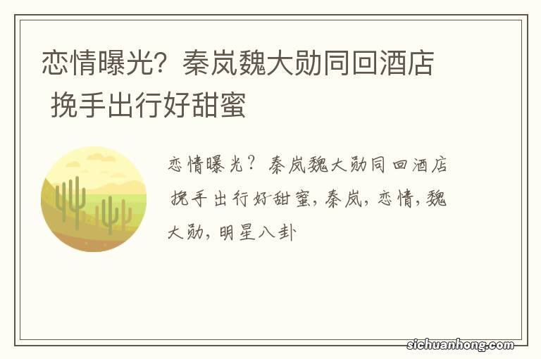 恋情曝光?秦岚魏大勋同回酒店 挽手出行好甜蜜