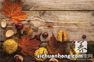 刚摘的栗子怎么去皮