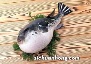 刺泡鱼怎么处理方法