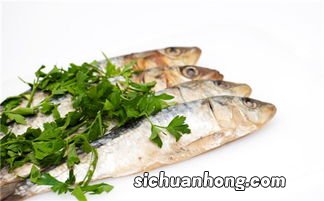 刺泡鱼怎么处理方法