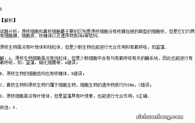 原核生物可以进行有氧呼吸吗