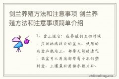 剑兰养殖方法和注意事项 剑兰养殖方法和注意事项简单介绍