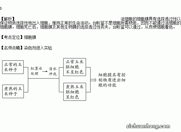 台盼蓝染色鉴别死活细胞的原理