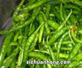 干豆角腌制多久才能吃