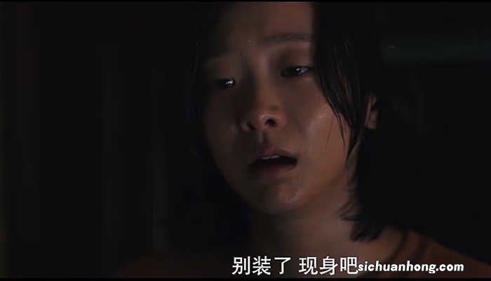 扮猪吃老虎的电影扮猪吃老虎的电影有哪些