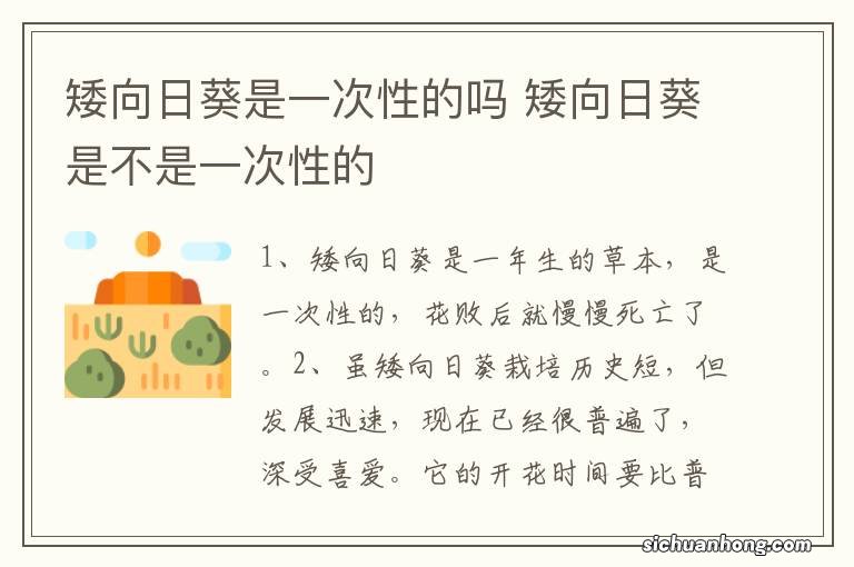 矮向日葵是一次性的吗 矮向日葵是不是一次性的