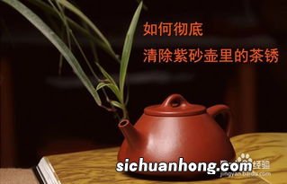 怎么去除茶壶里的茶叶够