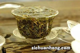 雨林古树茶普洱生茶怎么泡