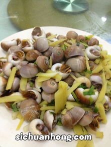 大的香螺煮多久能熟