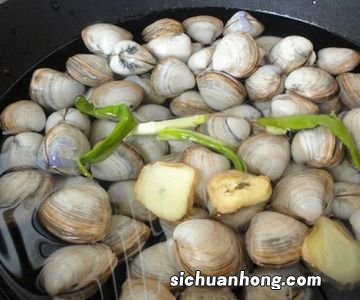 大的香螺煮多久能熟