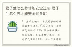 君子兰怎么养才能安全过冬 君子兰怎么养才能安全过冬呢