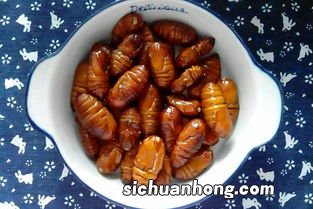 蚕蛹子怎么炒