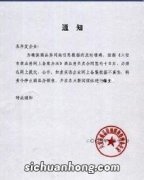 公文的特点是什么