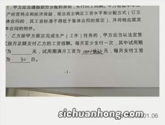 劳动合同工资按什么填