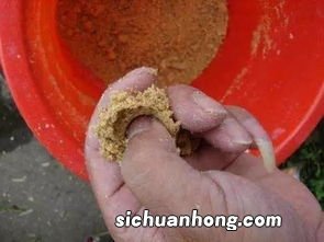 包食饵芯怎么做好吃