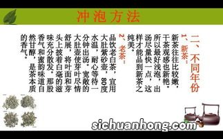 白茶编号怎么解释