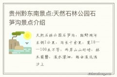 贵州黔东南景点:天然石林公园石笋沟景点介绍