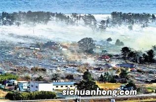 地震引发海啸时应该怎么办