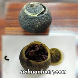 小青柑怎么泡 苦
