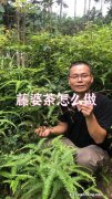 茶腾怎么做