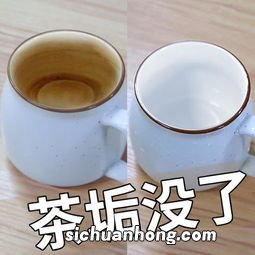 茶杯中有茶渍怎么洗