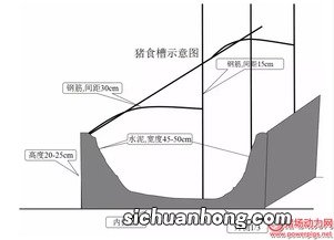 育肥猪舍最合适的尺寸