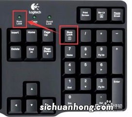 电脑键盘打不出字怎么办
