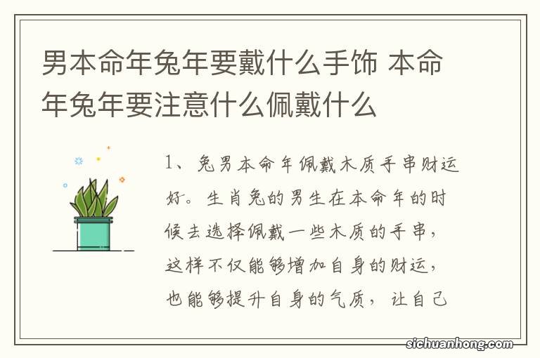 男本命年兔年要戴什么手饰 本命年兔年要注意什么佩戴什么