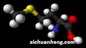蛋氨酸是必需氨基酸吗