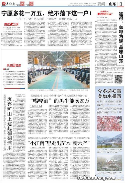 高质量发展怎么因地制宜