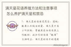 满天星花语养殖方法和注意事项 怎么养护满天星和禁忌