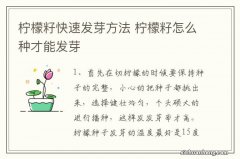 柠檬籽快速发芽方法 柠檬籽怎么种才能发芽