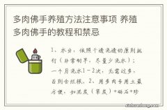 多肉佛手养殖方法注意事项 养殖多肉佛手的教程和禁忌