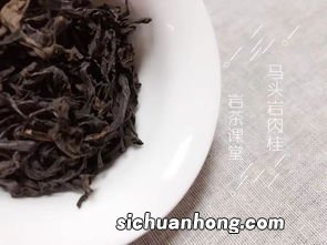 岩茶肉桂怎么泡好喝