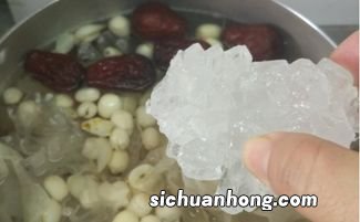 泡发的桃胶煮多久才好